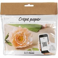 CC Creative Mini Hobby Set Krepppapier Blumen Pfingstrose - #590339