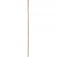 CC Kopfstift 50 mm Gold 30 Stück - #591185