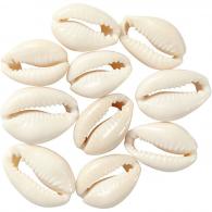 CC Muschelperlen 20 mm Natur 12 Stück - #591212
