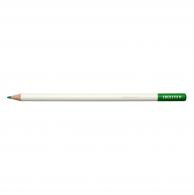 Tombow Irojiten Buntstift - Papageiengrn - #593823