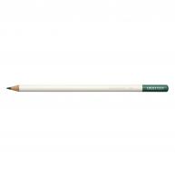 Tombow Irojiten Buntstift - Scouring Rush - #593891